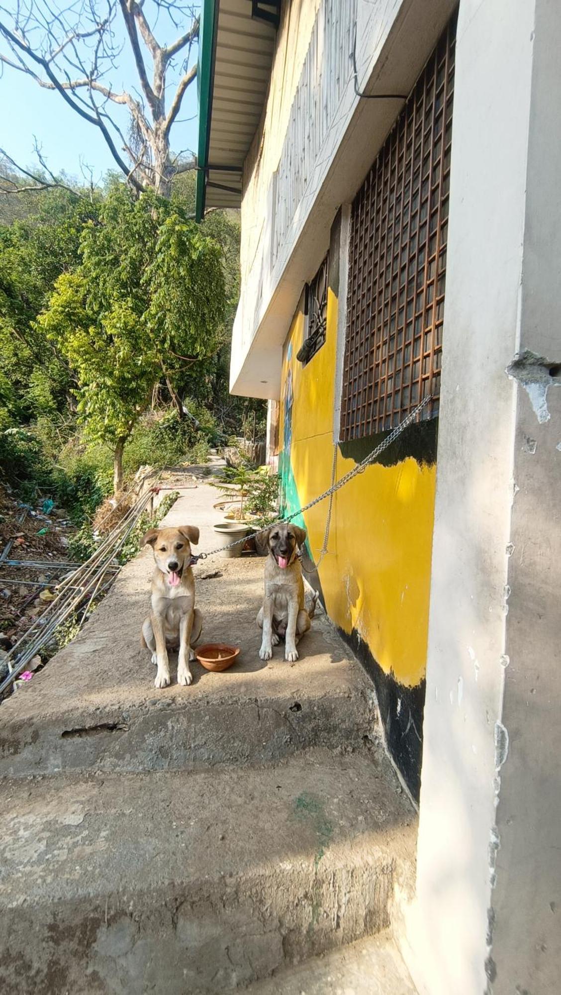 Blabla House Rishikesh Hostel Buitenkant foto